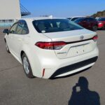 ZRE212-6009945-1